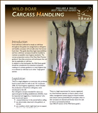 Carcass handling guide